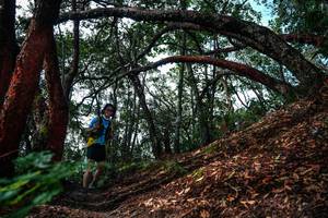 BIB: 
                            <button type="button" onclick="openModal(26347001)" class="btn btn-primary btn-sm float-right btn-popup" data-toggle="modal" data-target=".modal-high-quality">
                        <i class="fas fa-shopping-cart"></i> Add to Cart
                    </button>
                                            <button type="button" onclick="isThisMe(26347001, true)" class="btn btn-success btn-sm float-right btn-popup btn-isme hidden" data-toggle="tooltip" data-placement="bottom" title="นี่คือรูปของคุณใช่ไหม คลิกที่นี่เพื่อเอาเข้าอัลบั้ม">
                        <i class="fas fa-plus"></i> Add to album
                    </button>
                    <button type="button" onclick="isThisMe(26347001, false)" class="btn btn-warning btn-sm float-right btn-popup btn-isnotme hidden">
                        <i class="fas fa-ban"></i> Remove from album
                    </button>